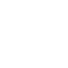 atom icon