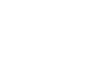 heart icon with ekg lines